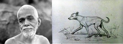 ரமணரிடம் வந்த சித்தர்!