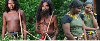 கான முயலும் ஈழ நிலமும்!