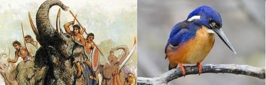 சங்க இலக்கியத்தில் சத்திர சிகிச்சை!